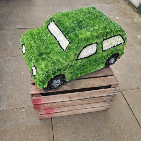 Green car tribute